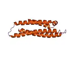 1le4: STRUCTURAL BASIS FOR ALTERED FUNCTION IN THE COMMON MUTANTS OF HUMAN APOLIPOPROTEIN-E