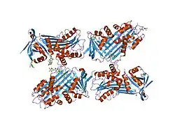 1lq8: Crystal structure of cleaved protein C inhibitor