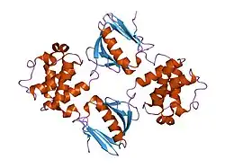 1mk7: CRYSTAL STRUCTURE OF AN INTEGRIN BETA3-TALIN CHIMERA