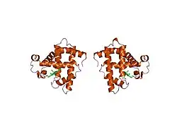 1mwc: WILD TYPE MYOGLOBIN WITH CO