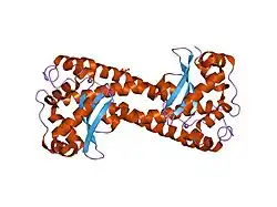 1n0n: Catalytic and Structural Effects of Amino-Acid Substitution at His30 in Human Manganese Superoxide Dismutase
