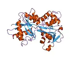 1n84: HUMAN SERUM TRANSFERRIN, N-LOBE