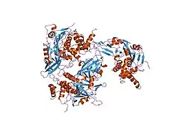 1nbf: Crystal structure of a UBP-family deubiquitinating enzyme in isolation and in complex with ubiquitin aldehyde