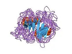 1ncv: DETERMINATION CC-CHEMOKINE MCP-3, NMR, 7 STRUCTURES