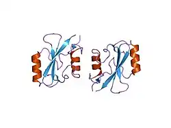1nrv: Crystal structure of the SH2 domain of Grb10