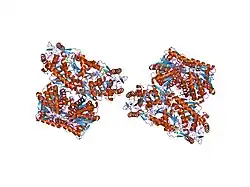 1nzw: Cys302Ser mutant of human mitochondrial aldehyde dehydrogenase complexed with NADH and Mg2+