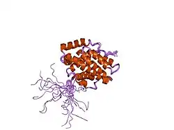 1o0l: THE STRUCTURE OF BCL-W REVEALS A ROLE FOR THE C-TERMINAL RESIDUES IN MODULATING BIOLOGICAL ACTIVITY