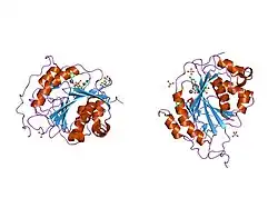 1o0r: Crystal structure of the catalytic domain of bovine beta1,4-galactosyltransferase complex with UDP-galactose