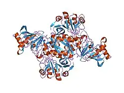 1ooz: Deletion mutant of SUCCINYL-COA:3-KETOACID COA TRANSFERASE FROM PIG HEART