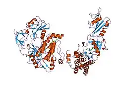1opl: Structural basis for the auto-inhibition of c-Abl tyrosine kinase