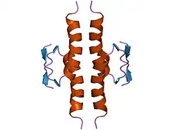 1pes: NMR SOLUTION STRUCTURE OF THE TETRAMERIC MINIMUM TRANSFORMING DOMAIN OF P53