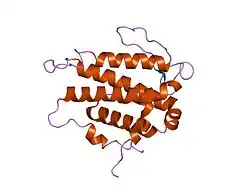 1pi1: Crystal structure of a human Mob1 protein; toward understanding Mob-regulated cell cycle pathways.
