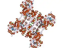 1pj4: Crystal structure of human mitochondrial NAD(P)+-dependent malic enzyme in a pentary complex with natural substrate malate, ATP, Mn++, and allosteric activator fumarate.
