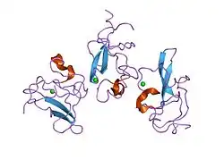 1pml: KRINGLE-KRINGLE INTERACTIONS IN MULTIMER KRINGLE STRUCTURES