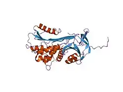 1qmb: CLEAVED ALPHA-1-ANTITRYPSIN POLYMER