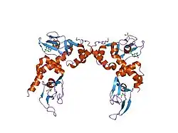 1rl3: Crystal structure of cAMP-free R1a subunit of PKA