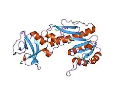 1s3i: Crystal structure of the N terminal hydrolase domain of 10-formyltetrahydrofolate dehydrogenase