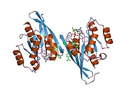 1s8f: Crystal structure of Rab9 complexed to GDP reveals a dimer with an active conformation of switch II