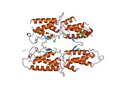 1scf: HUMAN RECOMBINANT STEM CELL FACTOR