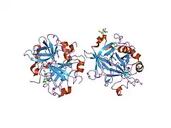 1sfq: Fast form of thrombin mutant R(77a)A bound to PPACK