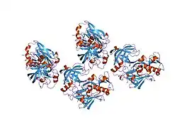 1sgz: Crystal Structure of Unbound Beta-Secretase Catalytic Domain.