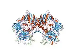 1tk3: Crystal Structure Of Human Apo Dipeptidyl Peptidase IV/CD26