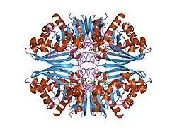 1u8f: Crystal Structure Of Human Placental Glyceraldehyde-3-Phosphate Dehydrogenase At 1.75 Resolution