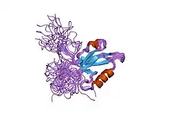 1uew: Solution Structure of the fourth PDZ domain of Human Atrophin-1 Interacting Protein 1 (KIAA0705 Protein)