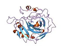 1ugb: HUMAN CARBONIC ANHYDRASE II[HCAII] (E.C.4.2.1.1) MUTANT WITH ALA 65 REPLACED BY GLY (A65G)