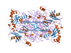 1us1: CRYSTAL STRUCTURE OF HUMAN VASCULAR ADHESION PROTEIN-1