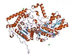 1v1r: CROSSTALK BETWEEN COFACTOR BINDING AND THE PHOSPHORYLATION LOOP CONFORMATION IN THE BCKD MACHINE