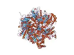 1w0j: BERYLLIUM FLUORIDE INHIBITED BOVINE F1-ATPASE