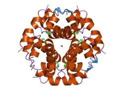 1w8p: STRUCTURAL PROPERTIES OF THE B25TYR-NME-B26PHE INSULIN MUTANT.