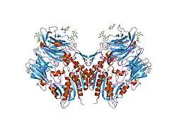 1wcy: Crystal Structure Of Human Dipeptidyl Peptidase IV (DPPIV) Complex With Diprotin A