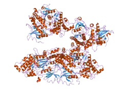 1wmk: Human death-associated kinase DRP-1, mutant S308D d40
