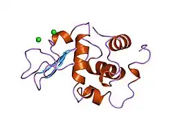 1wqn: CONTRIBUTION OF HYDROGEN BONDS TO THE CONFORMATIONAL STABILITY OF HUMAN LYSOZYME