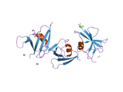 1wsp: Crystal structure of axin dix domain