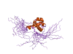 1wwu: Solution structure of the SAM_PNT domain of human protein FLJ21935