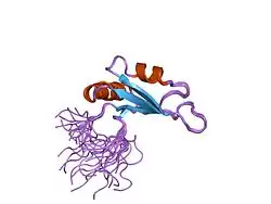 1x4e: Solution structure of RRM domain in RNA binding motif, single-stranded interacting protein 2