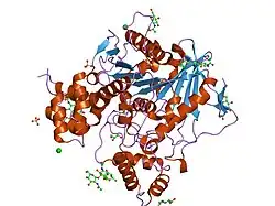 1xlw: Diethylphosphorylated Butyrylcholinesterase (Nonaged) Obtained By Reaction With Echothiophate