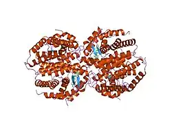 1xvp: crystal structure of CAR/RXR heterodimer bound with SRC1 peptide, fatty acid and CITCO
