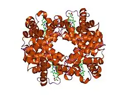 1xz5: T-to-THigh Quaternary Transitions in Human Hemoglobin: alphaL91A deoxy low-salt