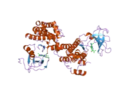 1yom: Crystal structure of Src kinase domain in complex with Purvalanol A