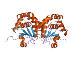 1yz4: Crystal structure of DUSP15