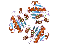 1zck: native structure prl-1 (ptp4a1)