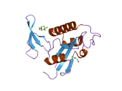 1zcn: human Pin1 Ng mutant
