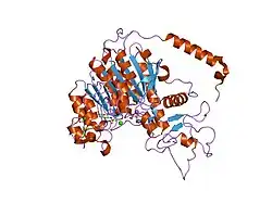 1zeb: X-ray structure of alkaline phosphatase from human placenta in complex with 5'-AMP