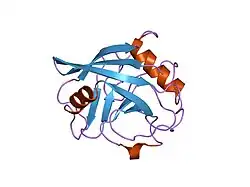 1zmf: C domain of human cyclophilin-33(hcyp33)