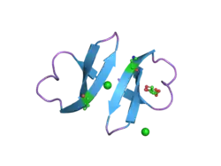 1zmk: Crystal structure of human alpha-defensin-2 (variant Gly16-> D-ALA), P 42 21 2 space group