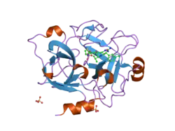 1zpc: Crystal Structure of the Catalytic Domain of Coagulation Factor XI in Complex with 2-[2-(3-Chloro-phenyl)-2-hydroxy-acetylamino]-N-[4-guanidino-1-(thiazole-2-carbonyl)-butyl]-3-methyl-butyramide